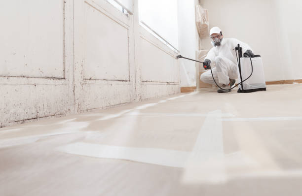 24/7 Emergency Mold Cleanup experts in Triangle, VA