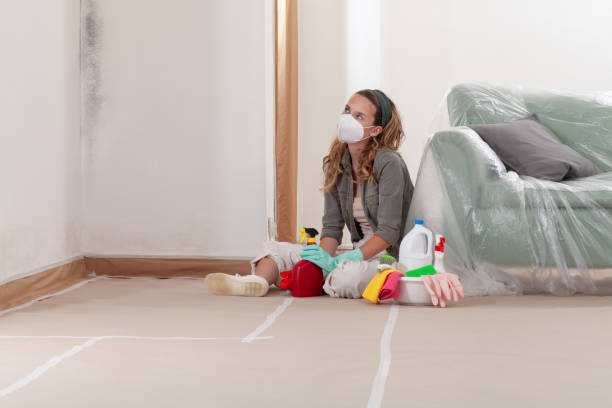Reliable Mold Cleanup contractor in Triangle, VA by WQB Mold Removal